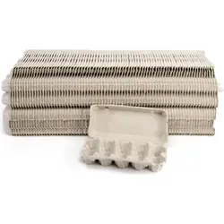 10er Eierschachteln, Uni, unbedruckt, weiß in pink von Sobsy