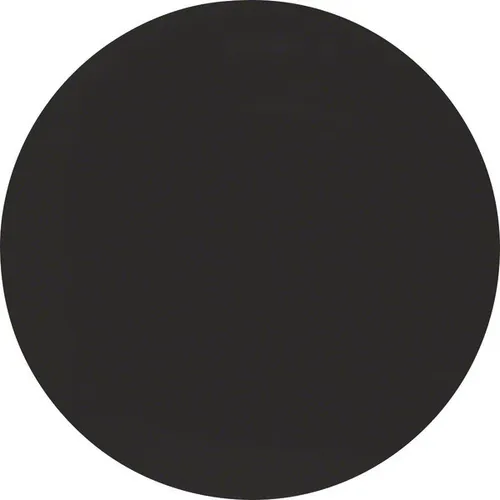 Berker Wippe sw/gl 16202045 Taster Schalter Abdeckungen Abdeckung Wippe