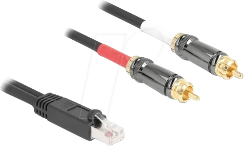 Delock RJ45 zu 2 x Cinch Adapterkabel 2 m - HiFi-Kabel für optimale Audioübertragung, ideal für den Anschluss von Geräten mit RJ45 an Cinch-Anschlüsse, flexibles und langlebiges Design.