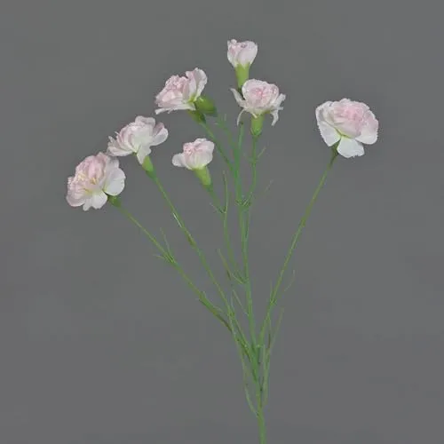 artplants.de Künstlicher Zweig Nelke PIARA, zartrosa, 60cm, Ø2-5cm - Kunstblumen Zweig