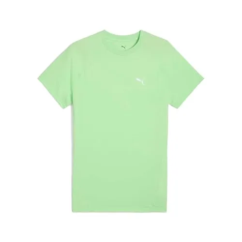 Puma Unisex Evostripe Tee T-Shirts, Spring Fern, XL EU
