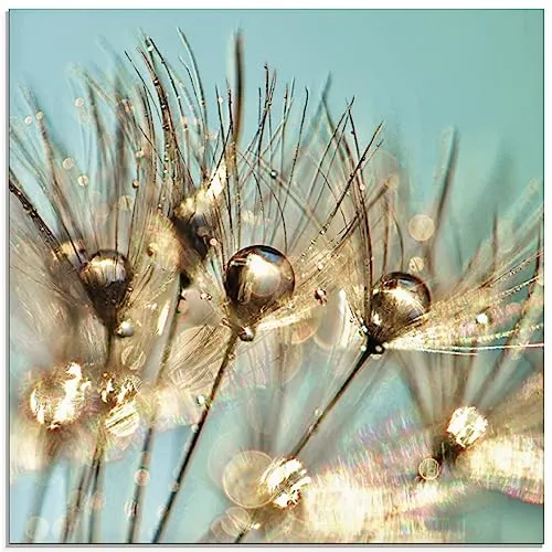 ARTland Wanddeko Glasbilder Wandbild Glas Bild einteilig 50 x 50 cm Quadratisch Innere Ruhe Wellness Pflanzen Blumen Pusteblume Regen Tau Wasser Gold S9BU