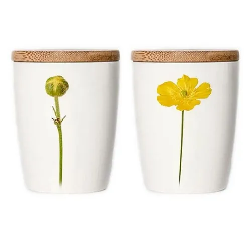 Simply Flowers Tasse Tasse Hahnenfuß (Klein)