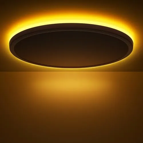 Swoieltr Deckenlampe LED Deckenleuchte Dimmbar, 6W 1800K Nachtlicht Warm, 24W 2800LM Deckenlampe mit Fernbedienung, LED Deckenleuchte Flach für Schlafzimmer, Kinderzimmer, Wohnzimmer Rund (30CM,Weiß)