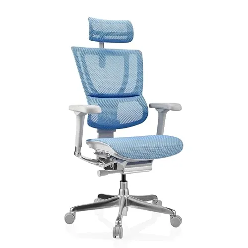 hjh OFFICE Luxus Chefsessel ERGOHUMAN SLIM G GEN2 in blau von hjh Office