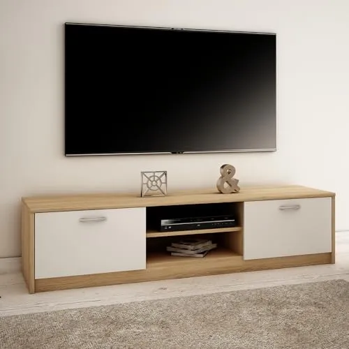 TV-Schrank 160cm breit Lowboard mit matter Oberfläche - TV-Bank & Lowboard mit 2 Türen und 2 Regalen, robust und modern, ideal für einen aufgeräumten Wohnbereich.