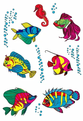 Aufkleber Fische 300 x 200 mm bunt Sticker Auto Tiere
