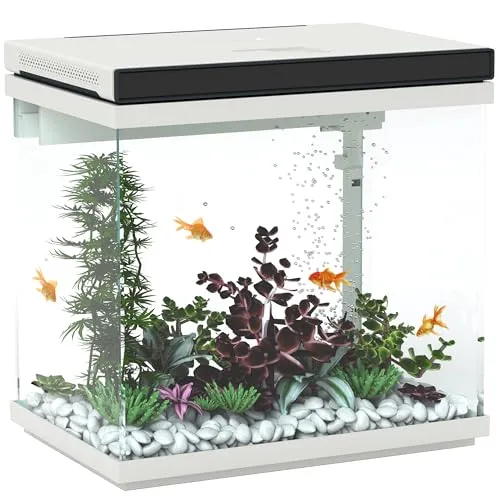 PawHut 26 Liter Aquarium mit Filter und LED-Beleuchtung - Aquarium für verschiedene Fischarten, ausgestattet mit farbwechselnden LEDs und leiser Wasserpumpe für ideale Bedingungen und eine farbenfrohe Atmosphäre.
