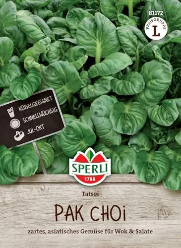 Sperli Pak Choi Samen Tatsoi 81172 von SPERLI