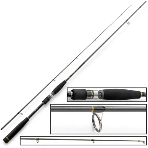 Hearty Rise 832 MH Zander Force II - Spinnrute zum Jiggen auf Zander - Angelrute mit mittlerer Steifheit, ideal für Gummifischangeln. Ausgestattet mit 8 Ringen und einem komfortablen EVA-Griff für optimale Kontrolle beim Raubfischangeln.