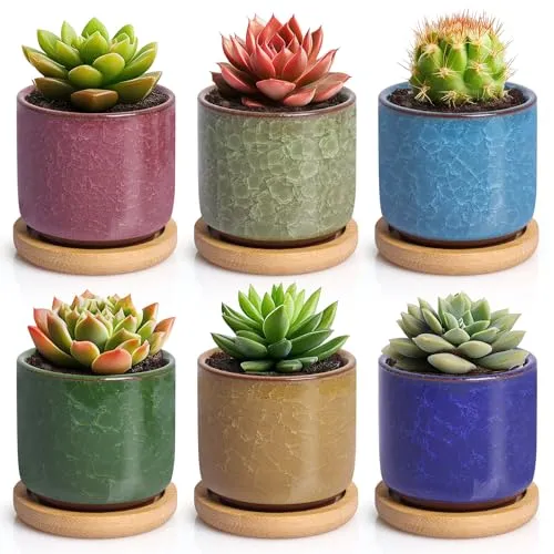 T4U 6.3cm Keramik Sukkulenten Töpfe Kaktus Pflanze Töpfe Mini Blumentöpfe EIS Crack Höher Serie 6 Farben Set mit Untersetzer