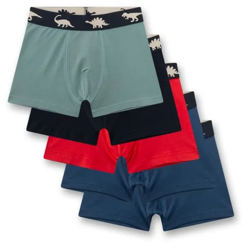 Sanetta Kid's Set Shorts 337333 5-Pack Unterhose Gr 104 bunt - Bequemes 5er-Pack Unterhosen mit elastischem Bund in bunten Farben. Ideal für den Alltag, aus hochwertigem Material für besten Tragekomfort.