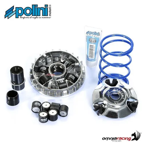 POLINI Variomatik für Piaggio 125/150 4T