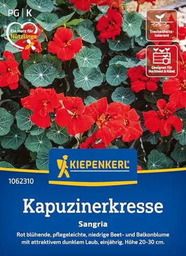 Kiepenkerl Kapuzinerkressesamen Sangria 1062310 - rot blühende und pflegeleichte Beet- und Balkonblume mit dunklem Laub - Wildblumensamen, Blumenwiese