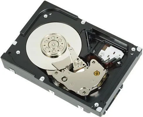 DELL W125719630 Interne Festplatte 3.5