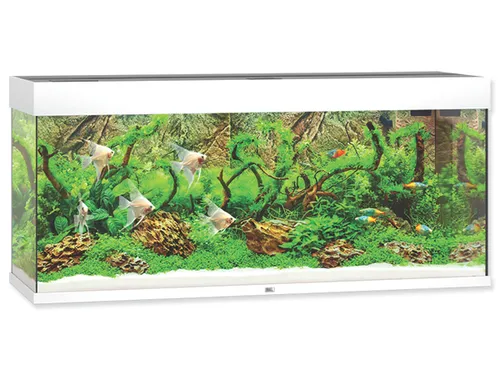 JUWEL Rio 240 LED Aquarium Set weiß - 240 Liter, inklusive LED-Beleuchtung und hochwertigem Zubehör für ein optimales Unterwasser-Ökosystem