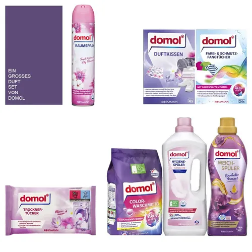 domol Colorwaschmittel Pulver 20 WL von Domol