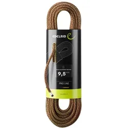 Eagle Lite Protect Pro Dry 9,5 mm von EDELRID