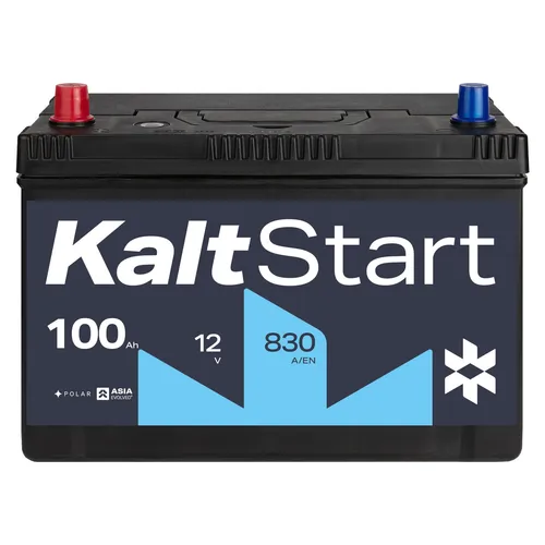 Kaltstart ASIA 100Ah Autobatterie A100L 12V 595405083