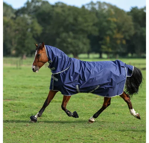 Bucas Pferde-Übergangsdecke Bucas Freedom Turnout Full Neck 100g