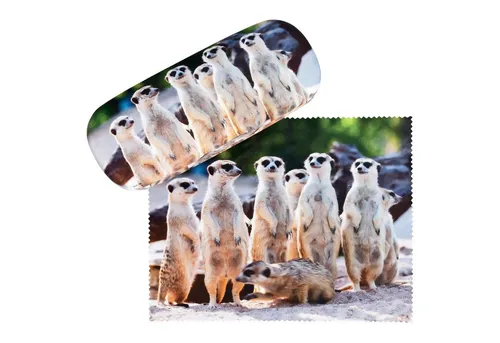 Brillenetuis & -halter von VON LILIENFELD