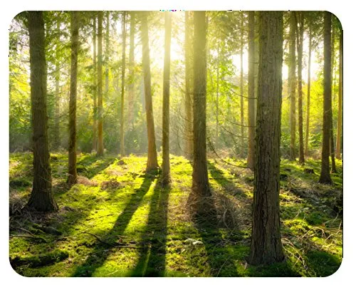 m. kern Mousepad Wald