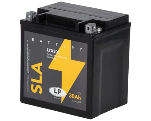 Akkuman.de AGM SLA 12V 30Ah Batterie für Motorräder