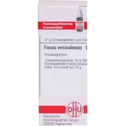 Fucus Vesiculosus D 4 Globuli 10 g