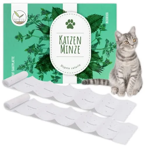 HappySeed Katzenminze Samen Saatband 80 x 10 cm (Nepeta cataria) - Catnip Saatgut ideal für die Anzucht im Garten, Balkon oder Terrasse
