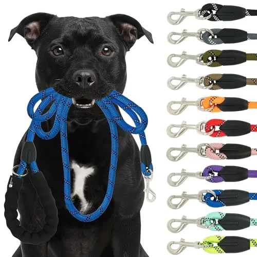 Reichstadt Pets Hundeleine - aus weichem Nylon mit Eva-Griff, reflektierend, drehbarer Metallhaken | robuste Führleine für kleine, mittelgroße und große Hunde 25RSP084 Blue 1,5m