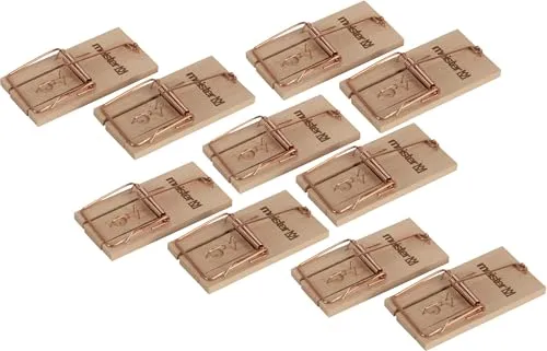 Meister Mausefallen 10er-Set - Nachhaltiges Buchenholz - Starker Federmechanismus - Für Innen- & überdachten Außenbereich - Made in Germany/Mouse Trap/Mäusefalle/Schlagfalle / 9975690