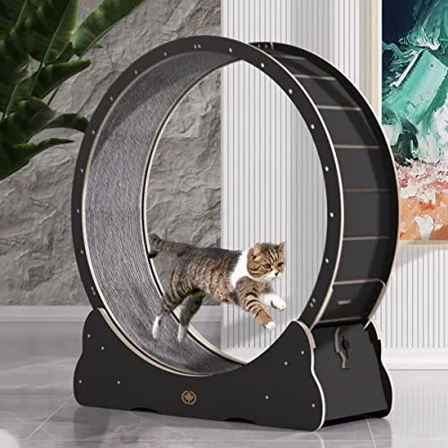 CanadianCat Company Katzenlaufrad aus Holz - CatInMotion - Interaktives Spielzeug für Katzen, aus hochwertigem Multiplex-Holz, ideal für alle Katzen. Fördert Bewegung und stimuliert natürliche Instinkte, leise und robust für ungestörtes Spielen.