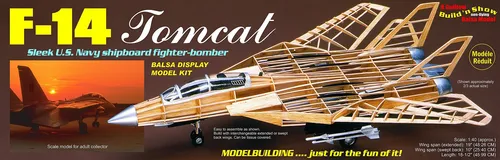 1/40 F-14 Tomcat