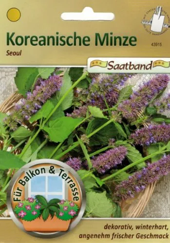Koreanische Minze Seoul Saatband für Balkon & Terrasse dekorativ winterhart angenehm frischer Geschmack 43915