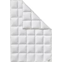 Produktbild FJÖDUR Ganzjahresbettdecke Daunen (155 x 220 cm)