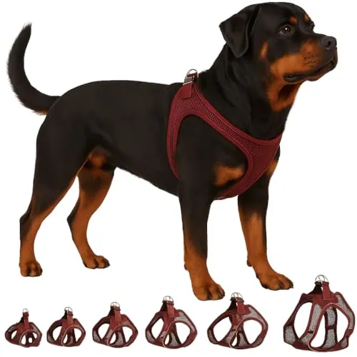 Hundegeschirr - hundegeschirr große Hunde - XXL - Flamingo Harness Step&Go Bento Aubergine