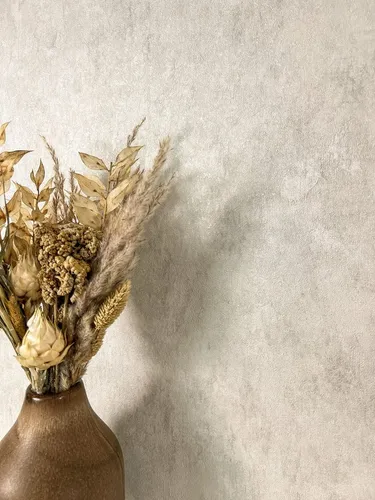 Newroom Vliestapete, Creme Tapete Modern Unifarbe in silber von Newroom