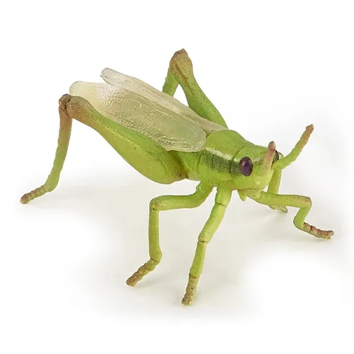 Papo 50268 Gartentiere Heuschreckenfigur Insekt 6,5 x 4,9 x 3 cm handbemalt