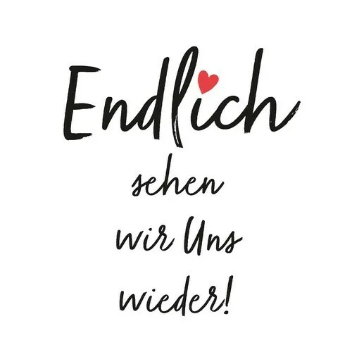 Stück Bio Lunch Servietten 33x33 cm Endlich sehen wir uns wieder! NEU 20