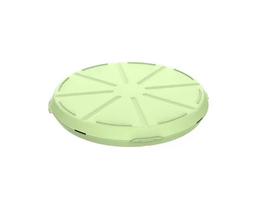 elasto Aufbewahrungssystem Pizzabox 'ToGo'