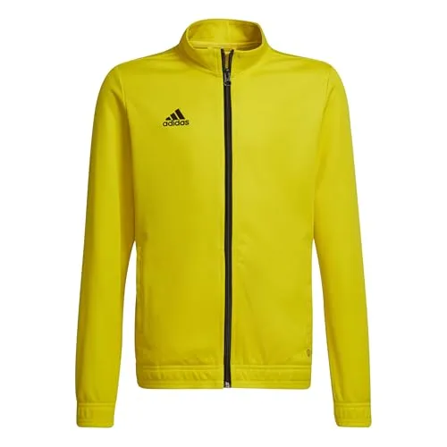 adidas Performance Entrada 22 Trainingsjacke Kids in gelb von adidas