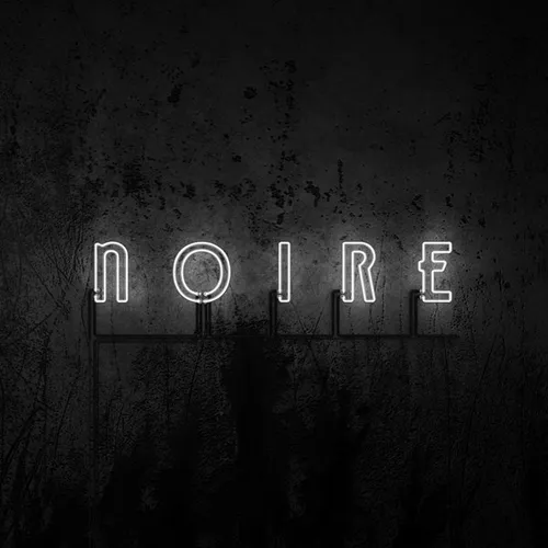VNV Nation - NOIRE (DOUBLE VINYL, BLACK) (2LP) - Schallplatten, hochwertige 2LP-Edition von VNV Nation, in mintem Zustand für Sammler und Liebhaber elektronischer Musik.