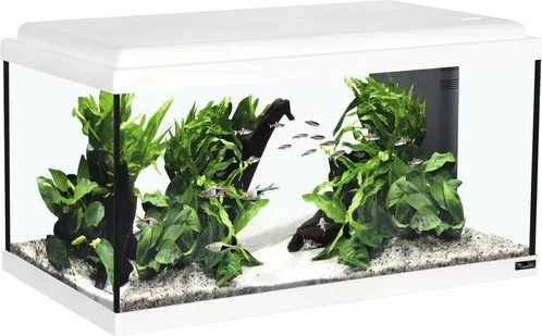 Aquarium aquatlantis Advance 60 mit LED-Beleuchtung