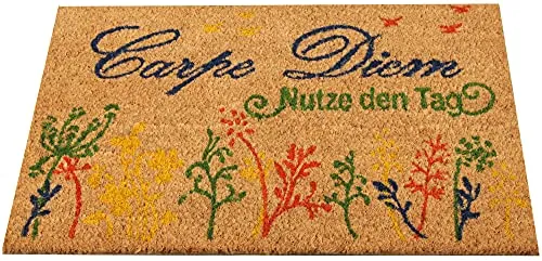 Bestlivings Fußmatte Kokos Schuhabtreter 40x60cm (Carpe Diem), Fußabtreter Schmutzfangmatte Türmatte Bodenmatte Läufer Teppich Türvorleger Abtreter