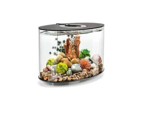 OASE 86425 biOrb LOOP 15 LED schwarz in schwarz von Oase