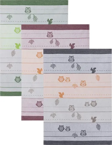 Geschirrtuch 3er Pack Baumwolle Bordürentuch Eulen 50 x 70 cm Gläsertuch Kracht