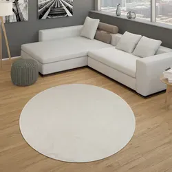 Paco Home Kurzflorteppich, Creme, Rund 160x160 cm - Strapazierfähiger Kurzflorteppich für jeden Wohnstil, ideal für stark frequentierte Räume und Fußbodenheizung geeignet. Schadstofffrei mit Oeko-Tex® Zertifikat.