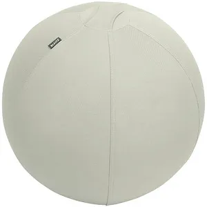 LEITZ Ergo Active Sitzball hellgrau 65 cm - Alternatives Sitzen mit Anti-Wegroll-Sicherheitsfunktion, ideal für ergonomisches Arbeiten und vielseitige Einsatzmöglichkeiten.