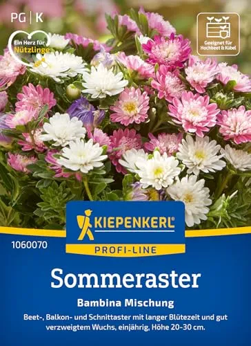 Kiepenkerl Profi-Line Sommerastersamen Bambina Mischung 1060070 - Beet-, Balkon- und Schnittaster mit langer Blütezeit - Pflanzensamen, Blumenmischung, Saatgut