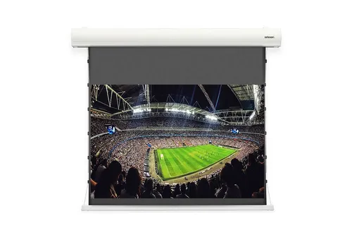 celexon HomeCinema Dynamic Slate ALR 110